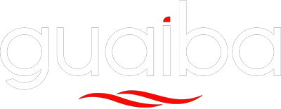 Guaíba Soluções